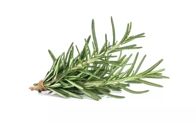 Hair tonic penumbuh rambut tipis Berbagai sumber Hair tonic penumbuh rambut tipis Berbagai sumber