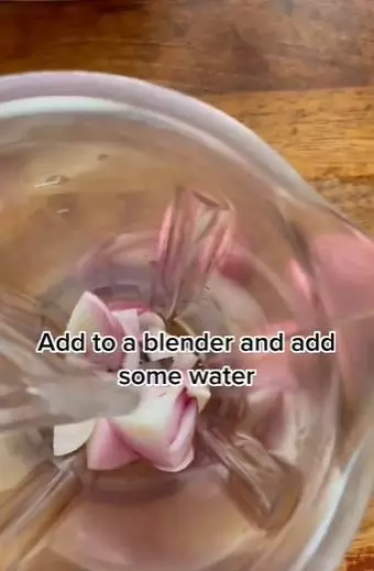 Bawang merah untuk rambut tipis dan sulit panjang Berbagai sumber Bawang merah untuk rambut tipis dan sulit panjang Berbagai sumber