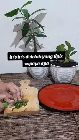 Daun sirih atasi bau mulut Berbagai sumber