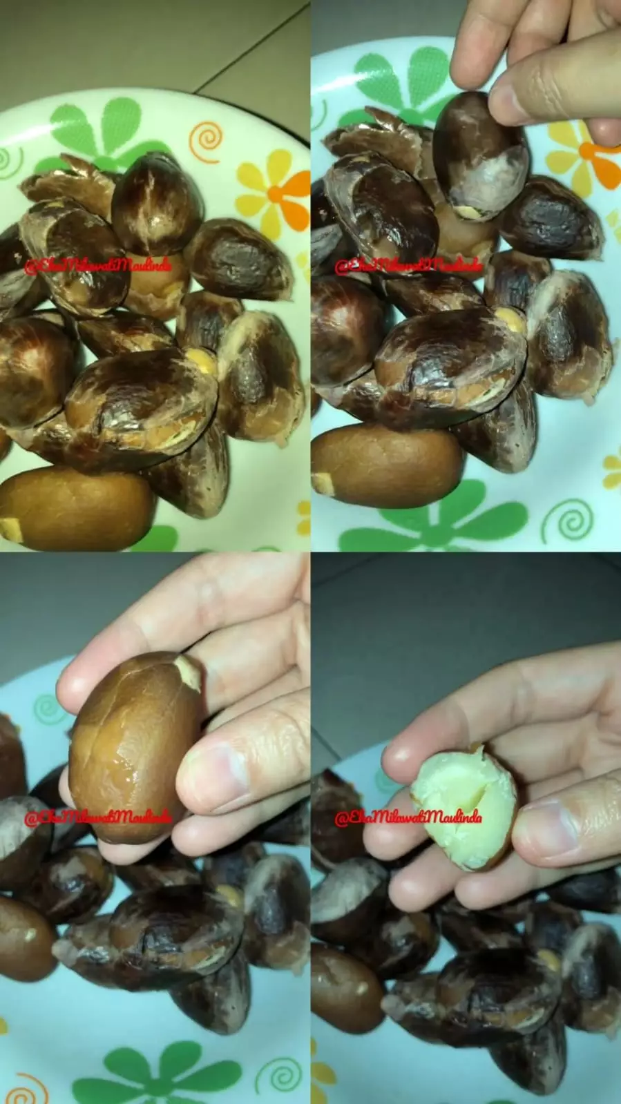 keriput biji buah © YouTube keriput biji buah © YouTube