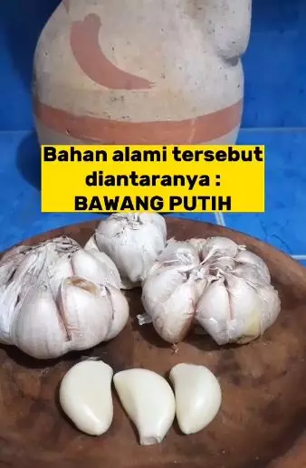 Atasi panu ala wanita paruh baya Berbagai sumber