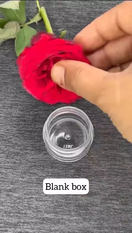 cerahkan bibir kusam berbagai sumber