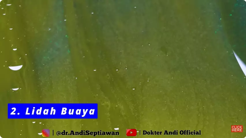 trik ampuh bikin bibir merah alami. berbagai sumber trik ampuh bikin bibir merah alami. berbagai sumber