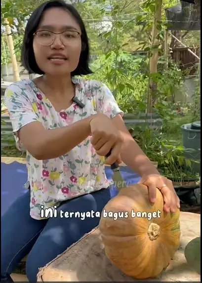 cara menumbuhkan rambut rontok dan botak. berbagai sumber