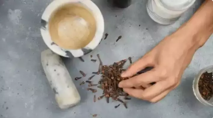 rontokkan  plak hitam menempel di gigi berbagai sumber