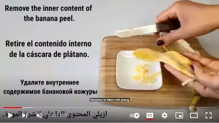 Pudarkan karang gigi lemon Youtube.com