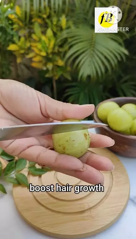 Cara menumbuhkan rambut botak berbagai sumber Cara menumbuhkan rambut botak berbagai sumber
