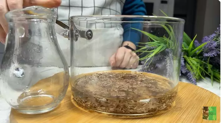 tunjukkan cara memanjangkan bulu mata berbagai sumber