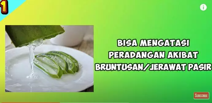 Atasi beruntusan di wajah menurut dokter Berbagai sumber Atasi beruntusan di wajah menurut dokter Berbagai sumber