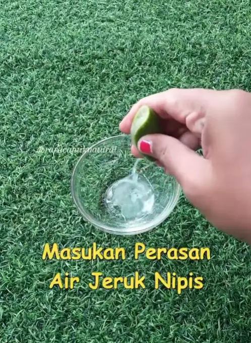 trik pudarkan pori-pori besar pakai bahan alami © 2024 brilio.net trik pudarkan pori-pori besar pakai bahan alami © 2024 brilio.net