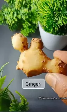 cara mengatasi rambut rontok berbagai sumber