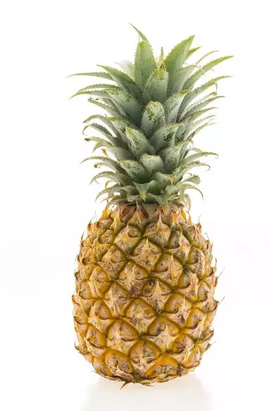 Cara membuat minuman kolagen berbagai sumber