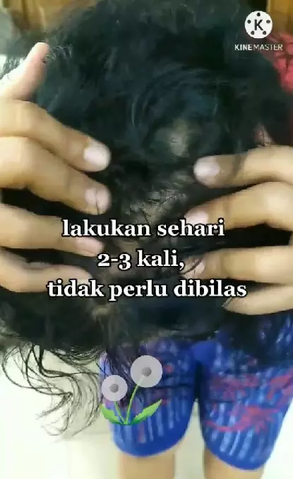 Atasi uban agar kembali gelap pakai teh basi TikTok