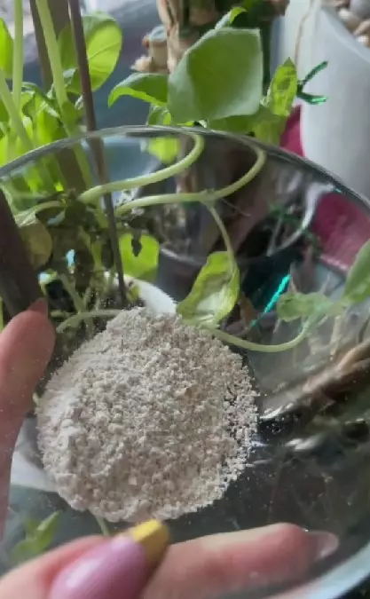 Trik menghidrasi wajah kering pakai 3 bahan dapur TikTok Trik menghidrasi wajah kering pakai 3 bahan dapur TikTok