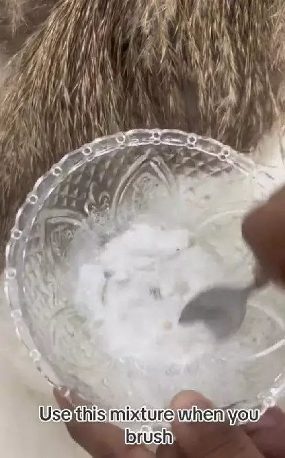 Atasi gigi kuning berkarang agar kembali putih Berbagai sumber Atasi gigi kuning berkarang agar kembali putih Berbagai sumber