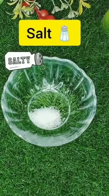 3 bahan dapur memutihkan gigi bernoda kuning TikTok