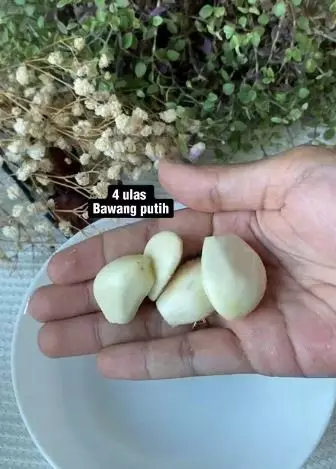 Putihkan gigi kuning berkerak tomat bawang putih TikTok