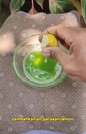 Cerahkan leher hitam cuma pakai 2 jenis buah-buahan Berbagai sumber