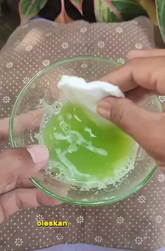 Cerahkan leher hitam cuma pakai 2 jenis buah-buahan Berbagai sumber