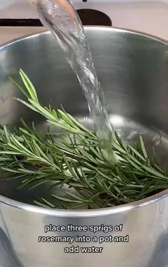 Rosemary atasi rambut botak agar tumbuh subur Berbagai sumber