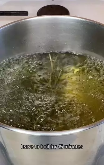 Rosemary atasi rambut botak agar tumbuh subur Berbagai sumber