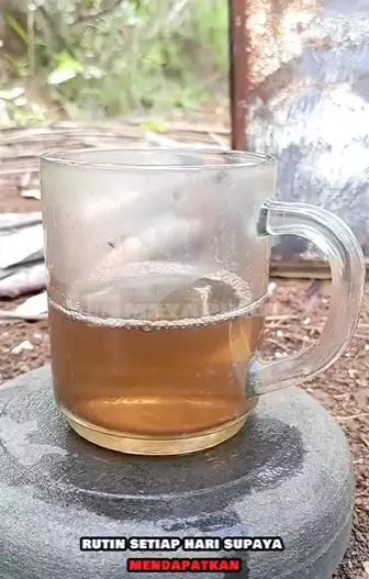 Putihkan gigi kuning kecokelatan pakai 1 jenis daun Berbagai sumber Putihkan gigi kuning kecokelatan pakai 1 jenis daun Berbagai sumber