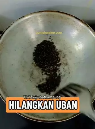 Atasi uban hanya pakai 2 jenis biji-bijian Berbagai sumber