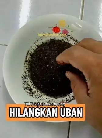 Atasi uban hanya pakai 2 jenis biji-bijian Berbagai sumber