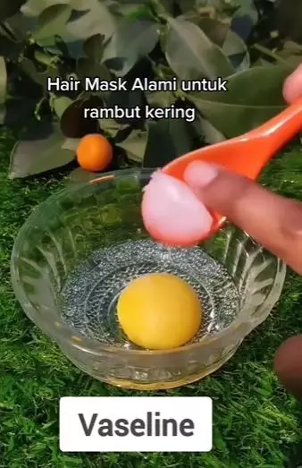 Atasi rambut kering dan bercabang tanpa aloe vera Berbagai sumber