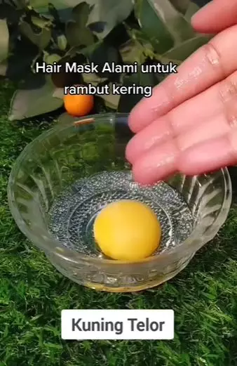 Atasi rambut kering dan bercabang tanpa aloe vera Berbagai sumber