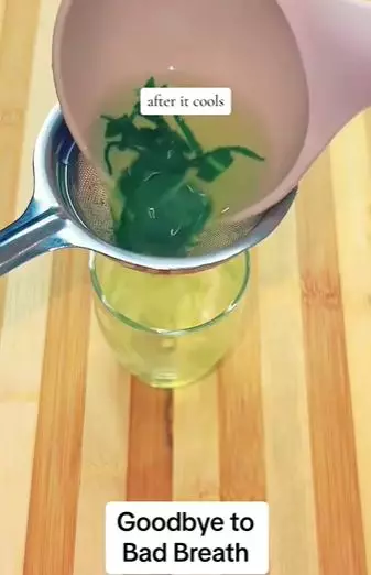 Atasi bau napas tidak sedap daun sage Berbagai sumber