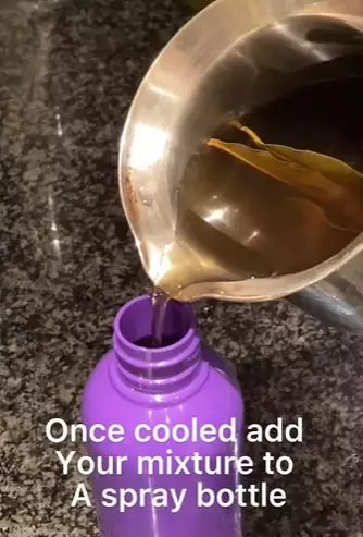 Tumbuhkan rambut pitak pinggir tanpa tonic mahal TikTok