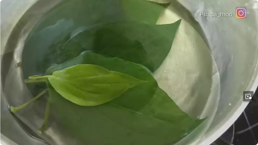 cara hilangkan bau mulut pakai daun salam. berbagai sumber cara hilangkan bau mulut pakai daun salam. berbagai sumber