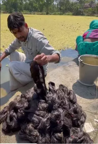 Proses bikin rambut palsu berbagai sumber