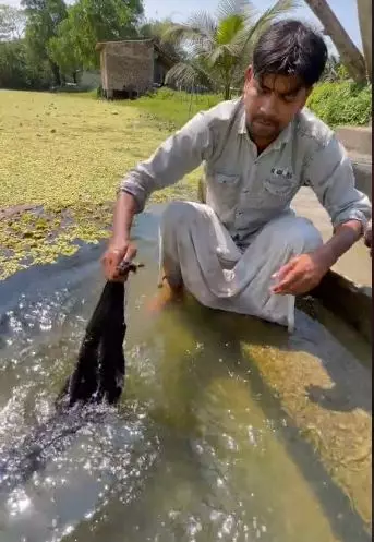 Proses bikin rambut palsu berbagai sumber