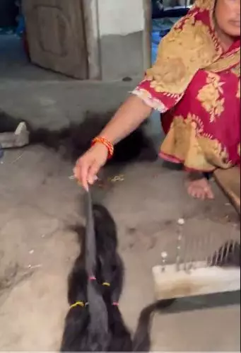 Proses bikin rambut palsu berbagai sumber