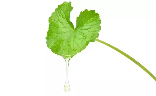 cara bikin kulit kencang bebas kendur berbagai sumber