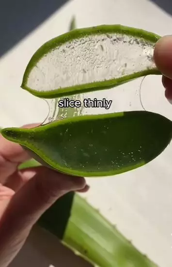 Satu jenis tanaman bisa atasi dark circle serta kerutan area mata Berbagai sumber Satu jenis tanaman bisa atasi dark circle serta kerutan area mata Berbagai sumber