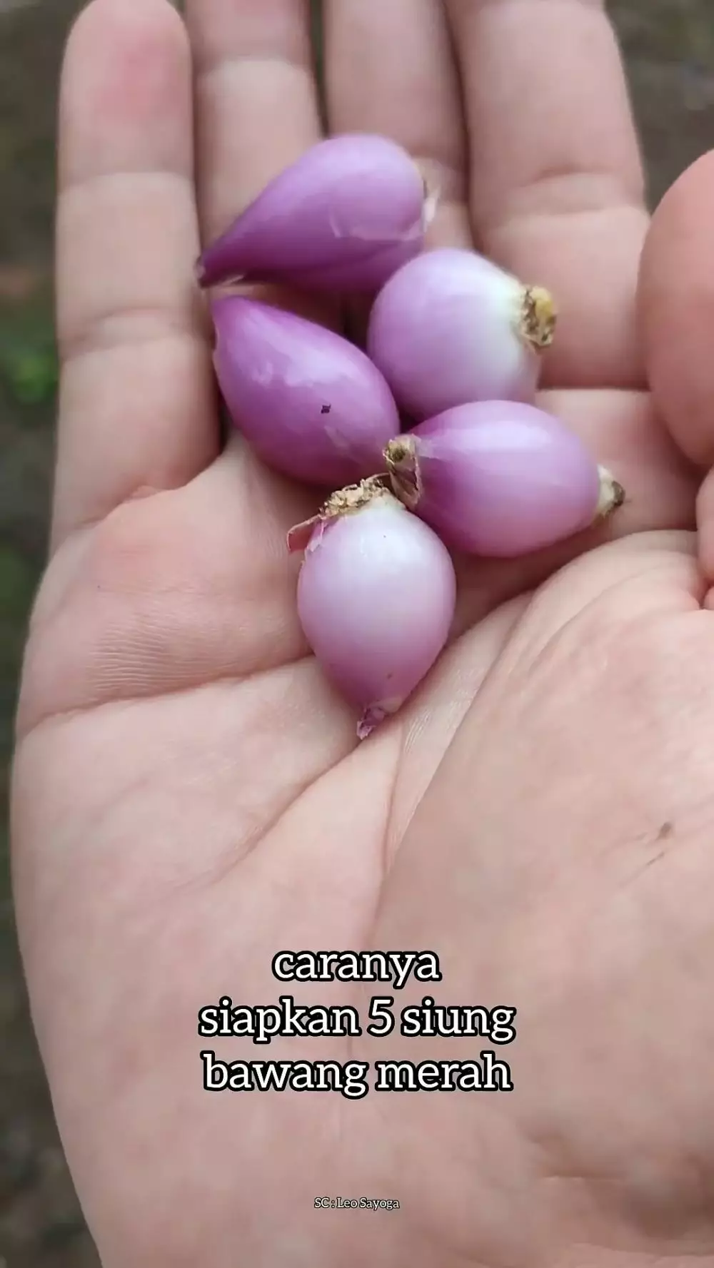 Cara ampuh menumbuhkan rambut © YouTube Cara ampuh menumbuhkan rambut © YouTube