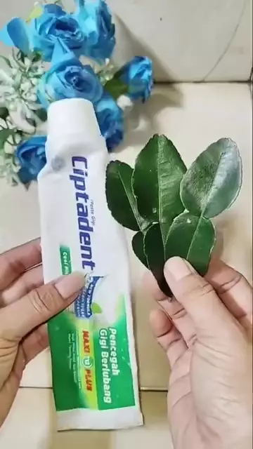 Cara eksfoliasi ketiak gelap © Instagram  Cara eksfoliasi ketiak gelap © Instagram