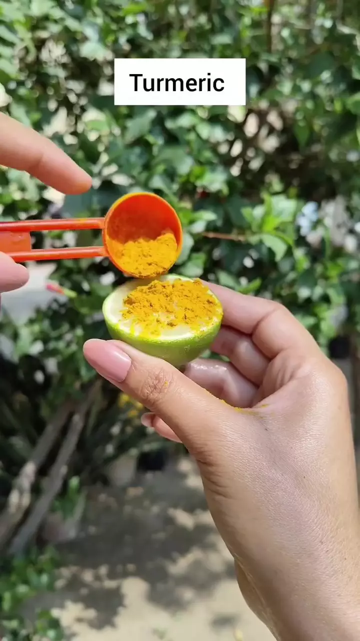 Modal 1 jenis rempah © Instagram Modal 1 jenis rempah © Instagram