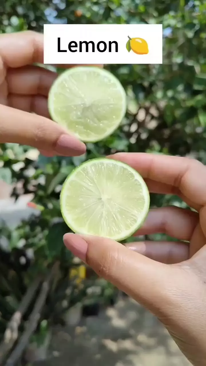 Modal 1 jenis rempah © Instagram Modal 1 jenis rempah © Instagram