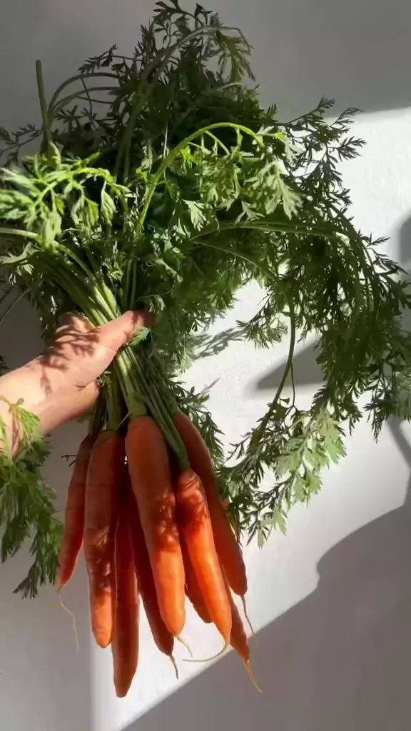 rahasia kulit kenyal © TikTok