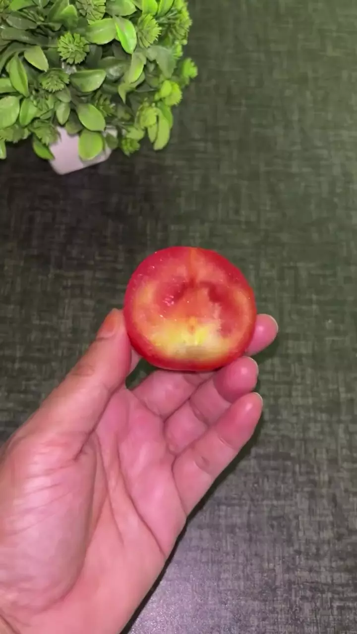 Pori-pori kotor © Instagram 