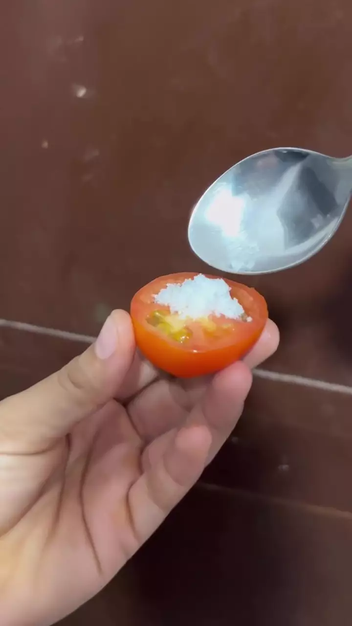 Ingin punya bibir lembap © Instagram 