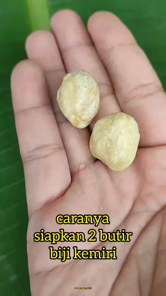 hilangkan uban agar rambut hitam © TikTok