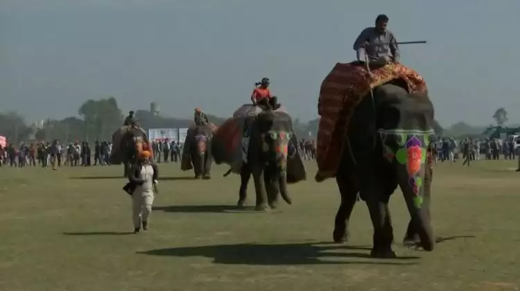 Festival olah raga ini seru abis, ada balapan gajah lho