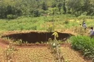 Lubang besar area persawahan di Gunungkidul gegerkan warga
