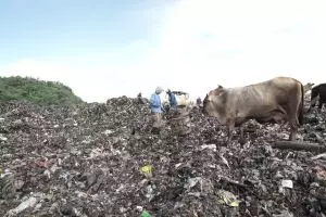 Warga Tutup TPST Piyungan, Jogja Darurat Sampah