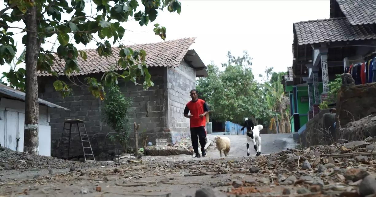 Gandung si gembala, ajak kambing dan bebek jogging bareng